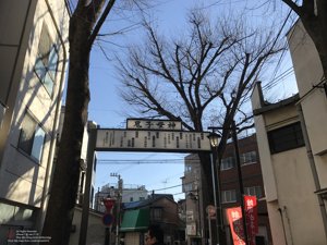 20180111142245_iPhone 7.jpg